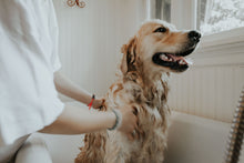 Load image into Gallery viewer, Pet Conditioner
